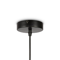 Freya Modern AvaGarden Подвесной светильник цвет: черный FR5249PL-03BG1