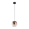Freya LED Ida Подвесной светильник цвет: черный FR6133PL-L4C
