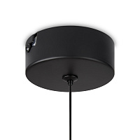 Freya LED Ida Подвесной светильник цвет: черный FR6133PL-L4C