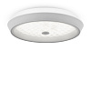 Freya LED Cells Потолочный светильник цвет: белый FR10012CL-L24W
