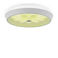 Freya LED Cells Потолочный светильник цвет: белый FR10012CL-L24W