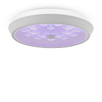Freya LED Cells Потолочный светильник цвет: белый FR10012CL-L24W