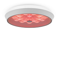 Freya LED Cells Потолочный светильник цвет: белый FR10012CL-L24W