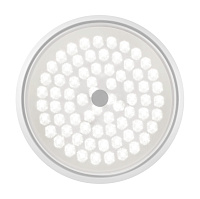 Freya LED Cells Потолочный светильник цвет: белый FR10012CL-L24W