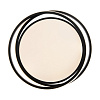 Freya LED Lisoa Потолочный светильник цвет: черный FR10031CL-L98B