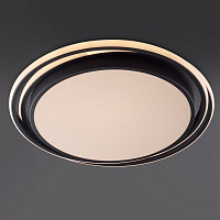Freya LED Lisoa Потолочный светильник цвет: черный FR10031CL-L98B