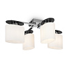 Freya Modern Bice Потолочный светильник цвет: хром FR5101-CL-04-CN
