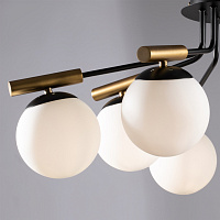 Freya Modern Paolina Потолочный светильник цвет: черный FR5011CL-08B