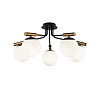 Freya Modern Paolina Потолочный светильник цвет: черный FR5011CL-05B