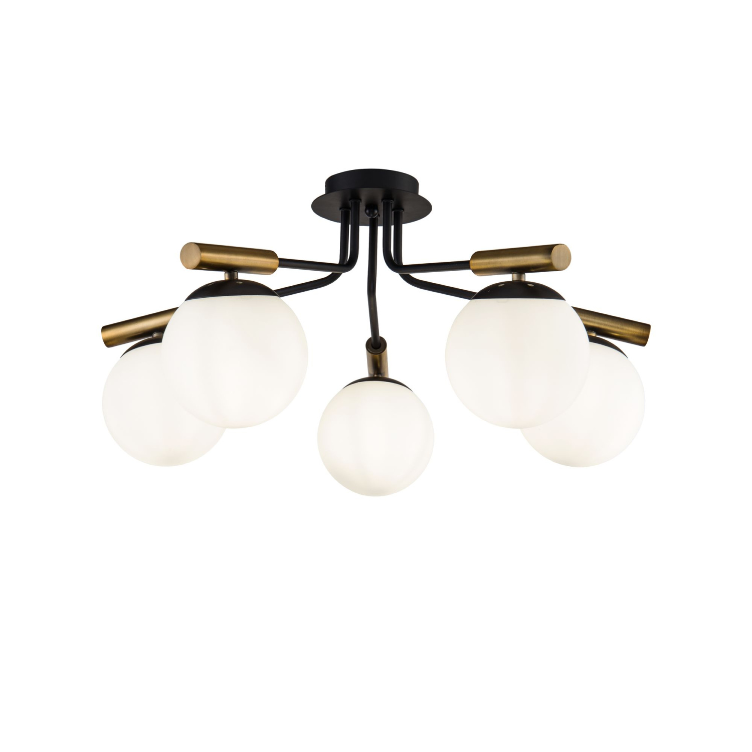 Freya Modern Paolina Потолочный светильник цвет: черный FR5011CL-05B