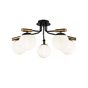 Freya Modern Paolina Потолочный светильник цвет: черный FR5011CL-05B