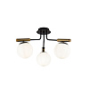 Freya Modern Paolina Потолочный светильник цвет: черный FR5011CL-03B