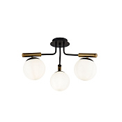 Freya Modern Paolina Потолочный светильник цвет: черный FR5011CL-03B