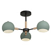 Freya Modern Trisha Потолочный светильник цвет: черный FR5032CL-03B