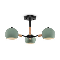 Freya Modern Trisha Потолочный светильник цвет: черный FR5032CL-03B