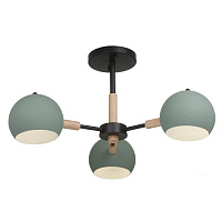 Freya Modern Trisha Потолочный светильник цвет: черный FR5032CL-03B
