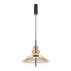 Maytoni Modern Bangkok Подвесной светильник цвет: черный MOD185PL-L12CG3K3