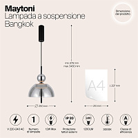 Maytoni Modern Bangkok Подвесной светильник цвет: черный MOD185PL-L6B3K4