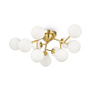 Maytoni Modern Dallas Потолочный светильник цвет: золото MOD545CL-12BS