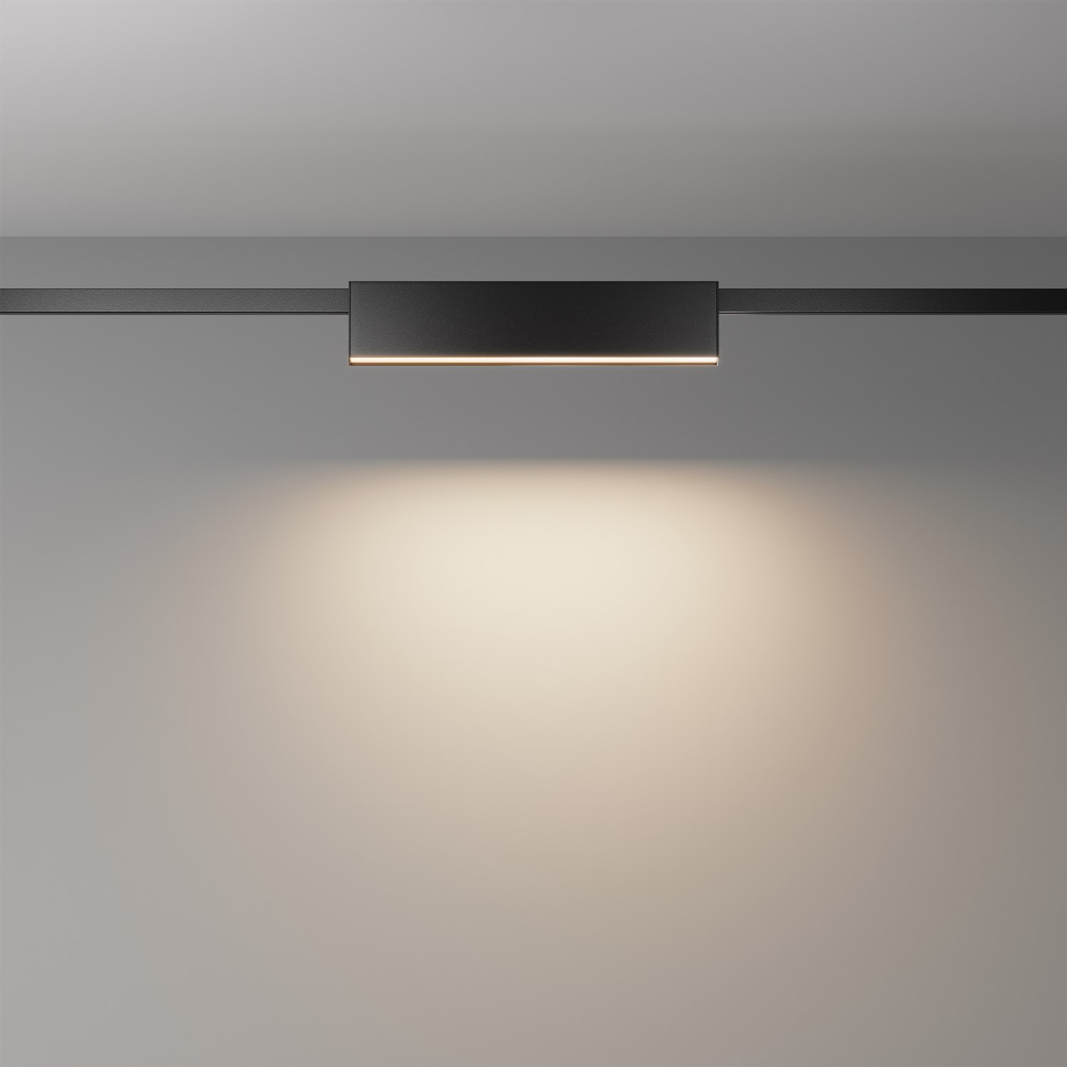 Maytoni Technical Basis Трековый светильник цвет: черный TR151-1-12W3K-B