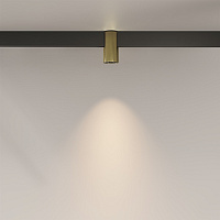 Maytoni Technical Alfa Трековый светильник цвет: латунь TR122-2-7W3K-BS