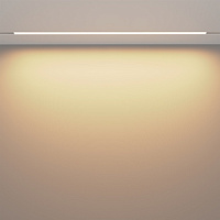 Maytoni Technical Basis Трековый светильник цвет: белый TR030-2-30W3K-W
