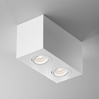 Maytoni Technical Atom Потолочный светильник цвет: белый C017CL-02W