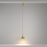 Maytoni Technical Glare Подвесной светильник цвет: латунь P102PL-12W3K-BS