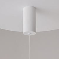 Maytoni Technical Ray Подвесной светильник цвет: белый P022PL-L10W