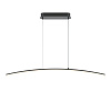 Maytoni Modern Curve Подвесной светильник цвет: черный MOD243PL-L18BK
