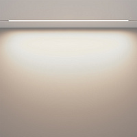 Maytoni Technical Basis Трековый светильник цвет: белый TR030-2-30W4K-W