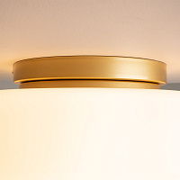 Maytoni Modern Glassy Потолочный светильник цвет: золото MOD270CL-01G