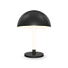 Maytoni Modern Ray Настольный светильник цвет: черный Z012TL-L8B3K