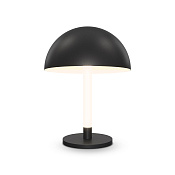 Maytoni Modern Ray Настольный светильник цвет: черный Z012TL-L8B3K