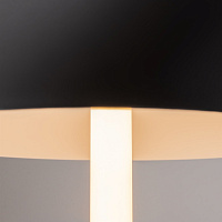 Maytoni Modern Ray Настольный светильник цвет: черный Z012TL-L8B3K