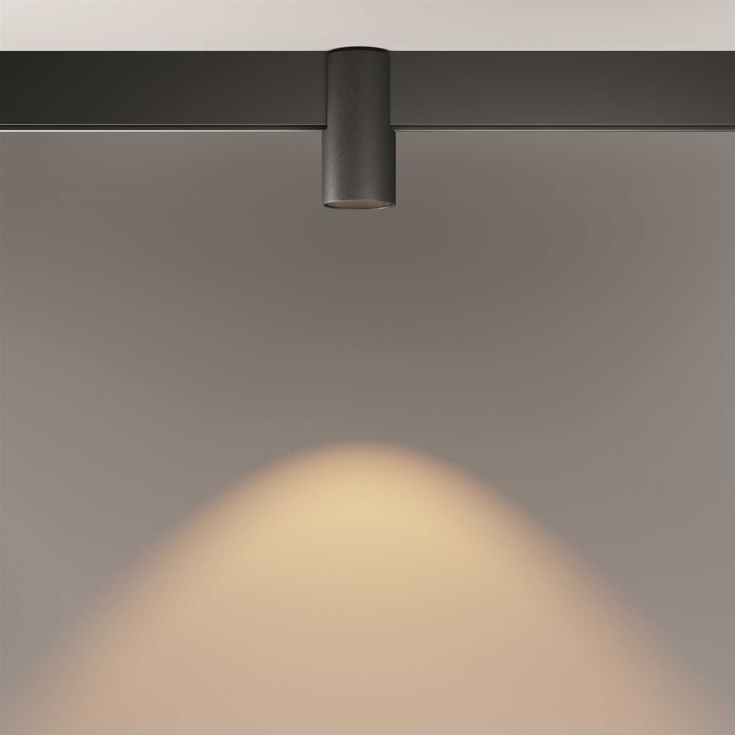 Maytoni Technical Alfa Трековый светильник цвет: черный TR122-2-7W3K-B