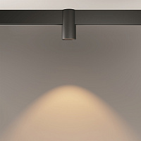 Maytoni Technical Alfa Трековый светильник цвет: черный TR122-2-7W3K-B