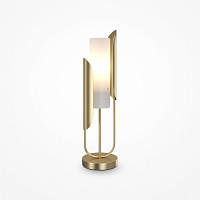 Maytoni Modern Сipresso Настольный светильник цвет: золото Z014TL-01G