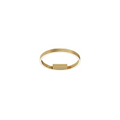 Maytoni Modern Rim Потолочный светильник цвет: латунь MOD058CL-L25BSK
