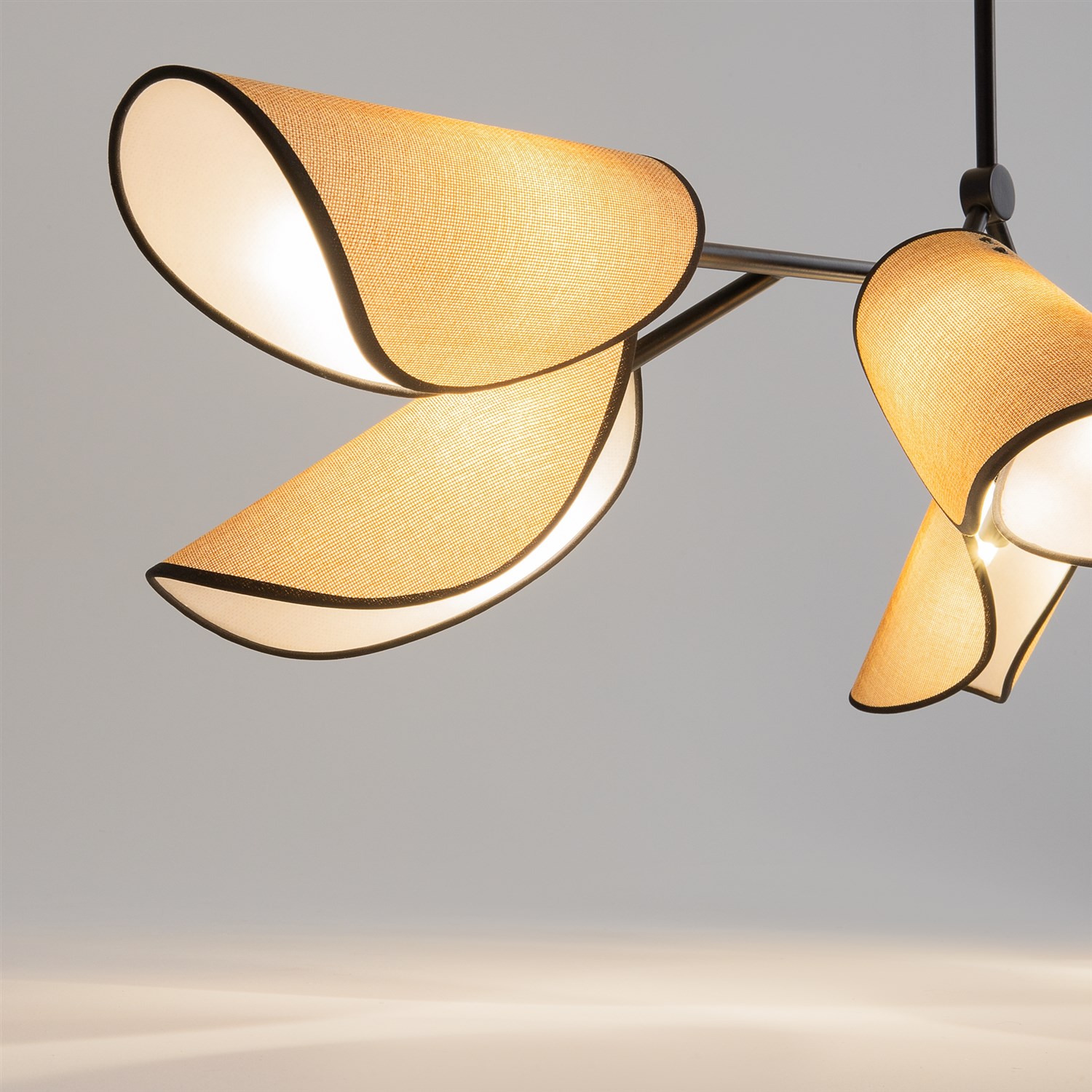 Maytoni Modern Organic Подвесной светильник цвет: черный MOD225PL-06B
