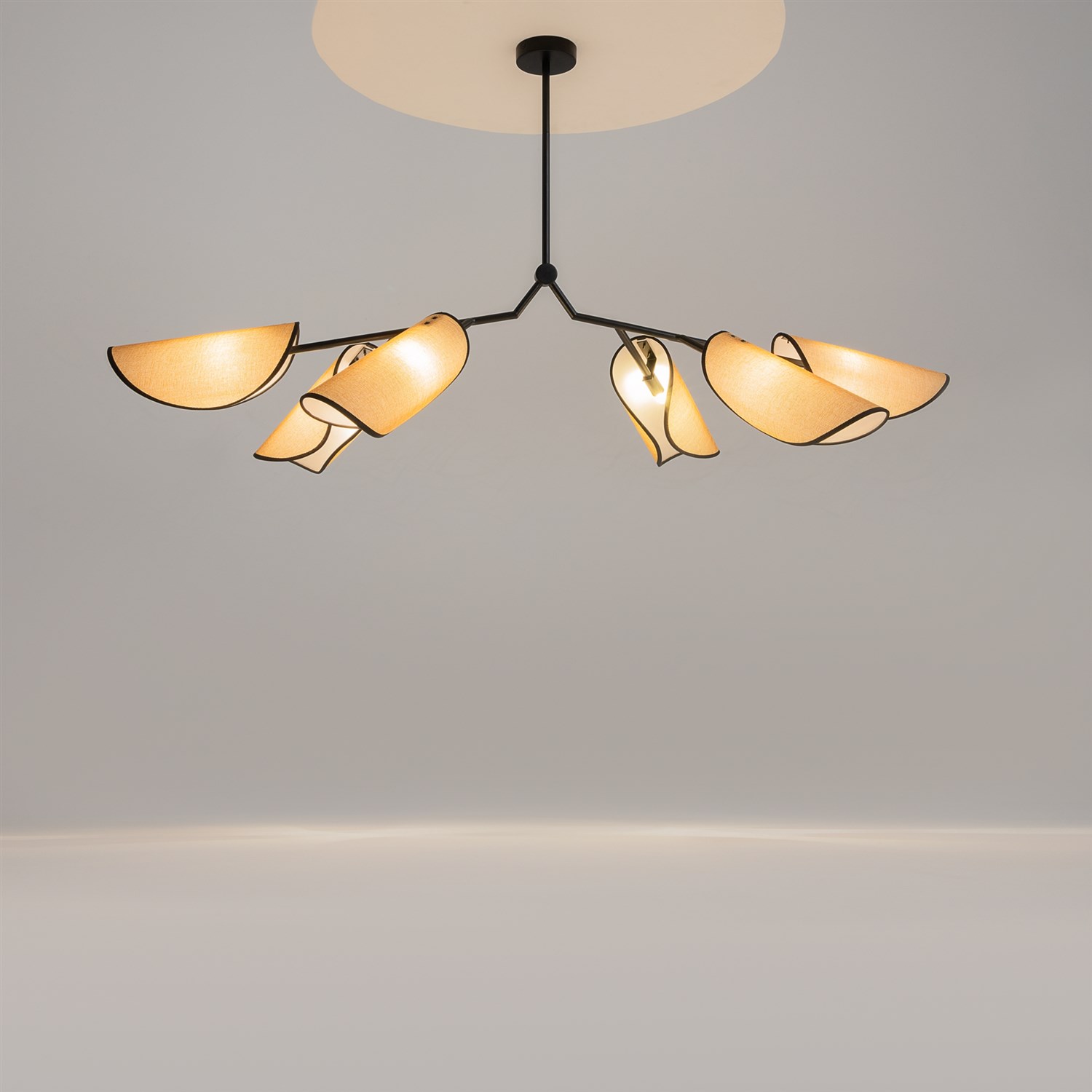 Maytoni Modern Organic Подвесной светильник цвет: черный MOD225PL-06B