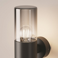 Maytoni Outdoor Amas Настенный светильник (бра) цвет: графит O432WL-01GF
