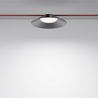 Maytoni Technical Campana Подвесной светильник цвет: черный TR127B-12W4K-B
