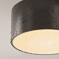 Maytoni Outdoor Zon IP Потолочный светильник цвет: черный O430CL-L15B3K