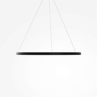 Maytoni Modern Rim Подвесной светильник цвет: черный MOD058PL-L54BK