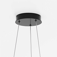 Maytoni Modern Rim Подвесной светильник цвет: черный MOD058PL-L54BK