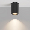 Maytoni Outdoor Roll Потолочный светильник цвет: черный O307CL-01B
