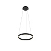 Maytoni Modern Rim Подвесной светильник цвет: черный MOD058PL-L22BK