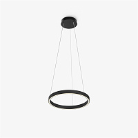 Maytoni Modern Rim Подвесной светильник цвет: черный MOD058PL-L22BK