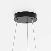 Maytoni Modern Rim Подвесной светильник цвет: черный MOD058PL-L22BK